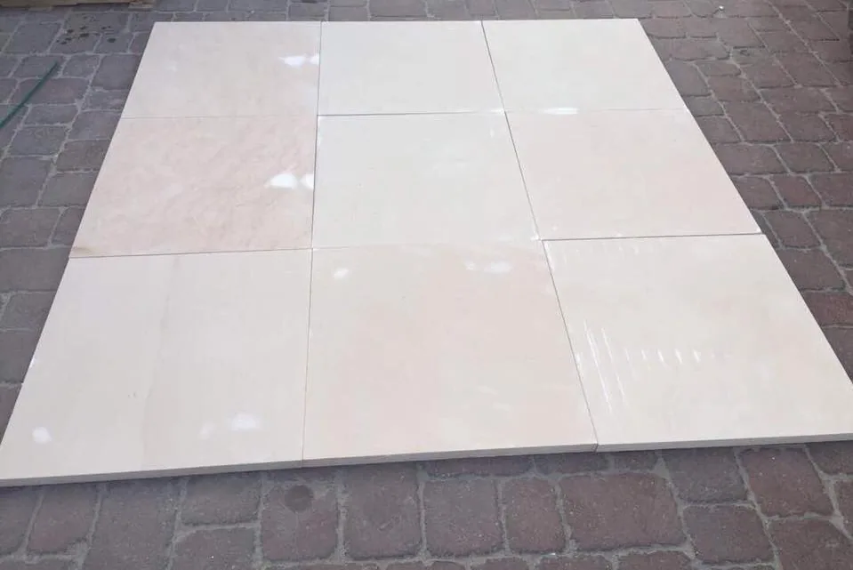 Dholpur Beige Sandstone view 8