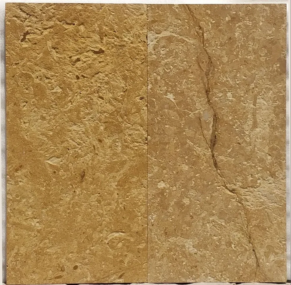 Jaisalmer Gold Flower Sandstone view 4