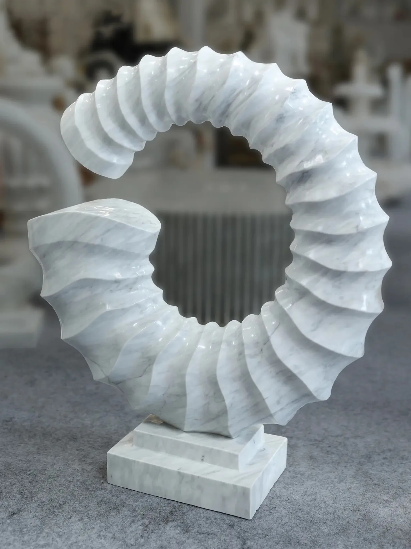Shell view 3